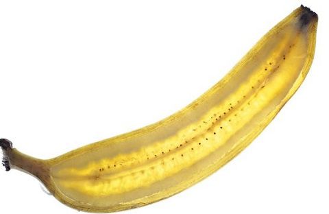 “雪糕香蕉”带你进入香蕉的奇妙世界