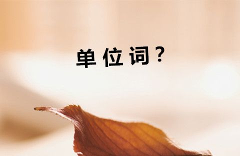 英语中的“单位词”怎么用？