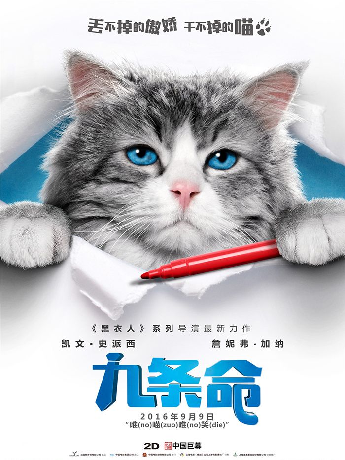 被车撞翻的猫5天后复活，猫真的有九条命？