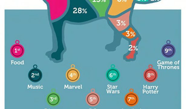 英国人最爱给宠物起啥英文名？TOP10接好了