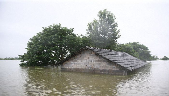 洪灾主人泪别6000头猪 暴雨相关表达你都会吗