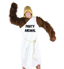 Party animal 聚会狂