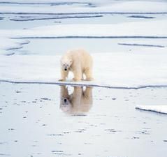 On thin ice 处境危险（口语）