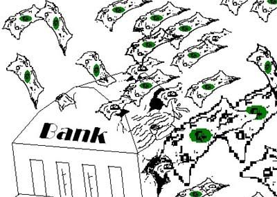 Money in the bank 稳操胜券（口语）