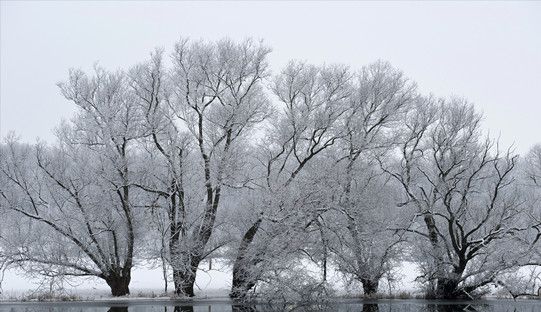 节气词汇：小雪