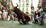 July:Pamplola Bull-running Fiesta（西班牙奔牛节）