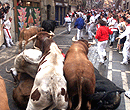 July:Pamplola Bull-running Fiesta（西班牙奔牛节）