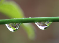 March:World Water Day （世界水日）