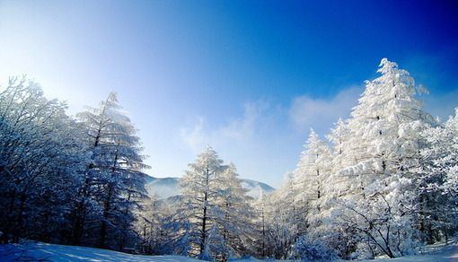 天上飘来雪的童话 （美文）