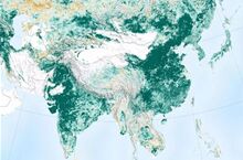 地球更绿了！美国航天局：中国和印度贡献最大
