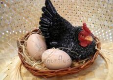 母鸡下蛋 The Hen Has Eggs