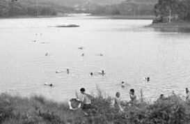 应不应该到江河水库游泳？ Should We Go to the River for Swimming?