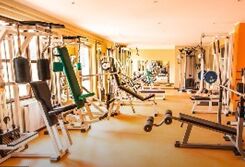 健身房的好处 The Advantages of Going to the Gym