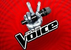 美国好声音The Voice of America