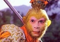 猴王的记忆 The Memory of Monkey King