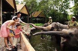 动物园一日游 A Day in the Zoo